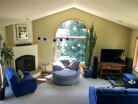 68 Coachman Ct, Dillon, CO 80435 photo 3