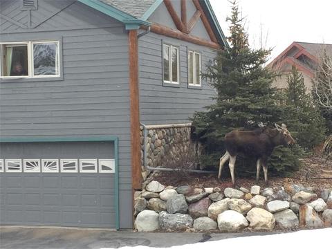 68 Coachman Ct, Dillon, CO 80435 photo 23