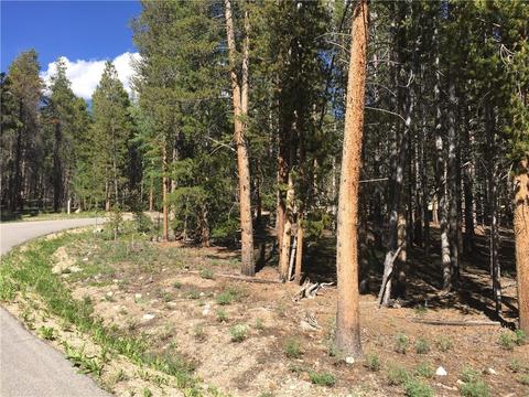 1010 Ruby Ln, Leadville, CO 80461 photo 2