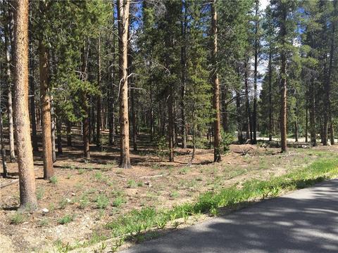 1010 Ruby Ln, Leadville, CO 80461 photo 1
