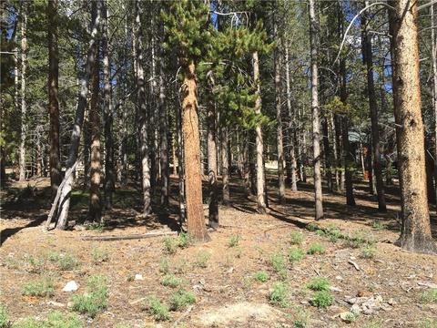 1010 Ruby Ln, Leadville, CO 80461 photo 3