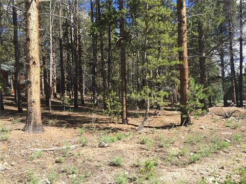 1010 Ruby Ln, Leadville, CO 80461 photo 4