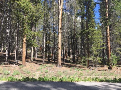 1010 Ruby Ln, Leadville, CO 80461 photo 5