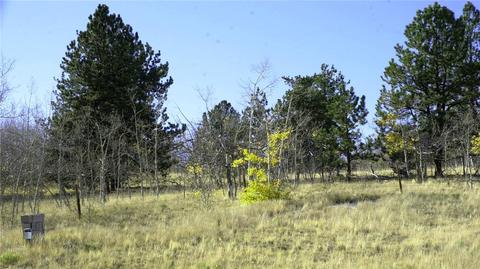 571 Tatanka Trl, Como, CO 80432 photo 13