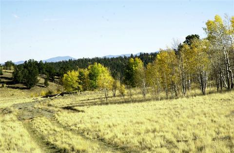 571 Tatanka Trl, Como, CO 80432 photo 17