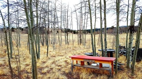 571 Tatanka Trl, Como, CO 80432 photo 8
