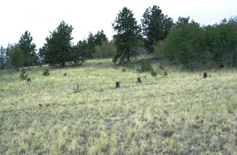 571 Tatanka Trl, Como, CO 80432 photo 14