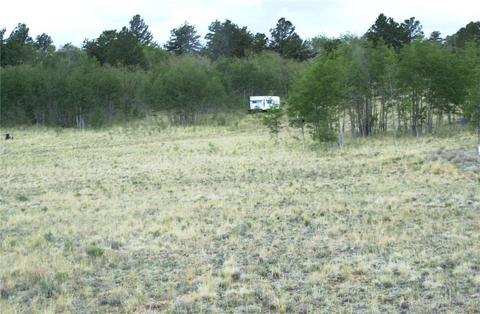 571 Tatanka Trl, Como, CO 80432 photo 16