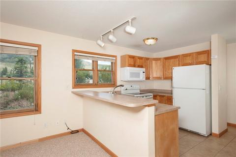 22 Cove Blvd #D2, Dillon, CO 80435 photo 16