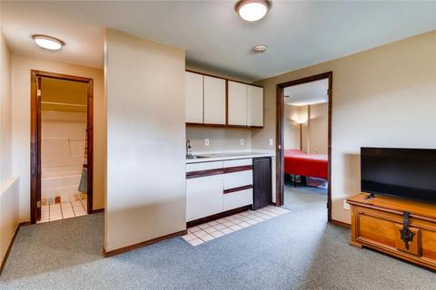 225 Summit Dr, Dillon, CO 80435 photo 19