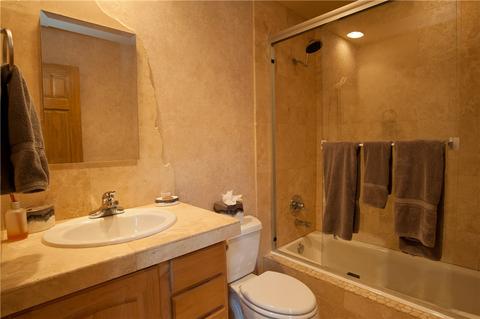 313 Red Hawk Cir, Silverthorne, CO 80498 photo 19