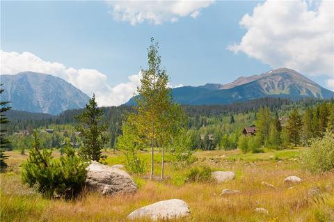 313 Red Hawk Cir, Silverthorne, CO 80498 photo 2