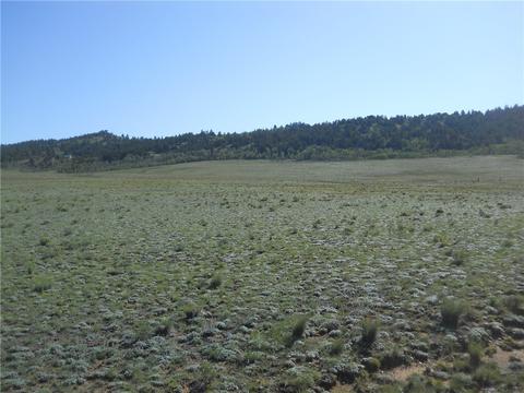 13761 Elkhorn Rd, Como, CO 80432 photo 10