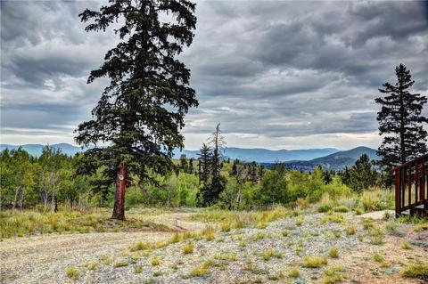 126 Mountain Vis, Como, CO 80432 photo 12