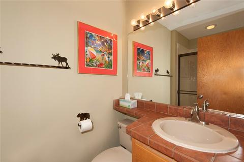31 Buffalo Dr, Silverthorne, CO 80498 photo 23