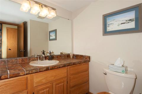 31 Buffalo Dr, Silverthorne, CO 80498 photo 18