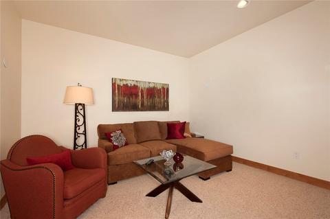 355 Bald Eagle Rd, Silverthorne, CO 80498 photo 18