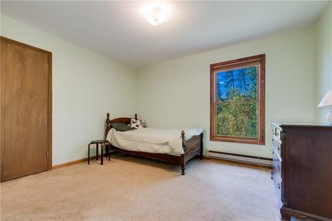 73 Elk Thistle Dr, Silverthorne, CO 80498 photo 22