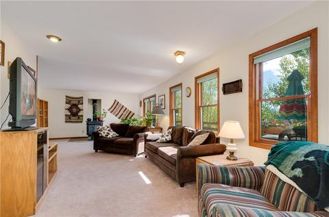 73 Elk Thistle Dr, Silverthorne, CO 80498 photo 9