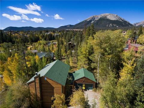 73 Elk Thistle Dr, Silverthorne, CO 80498 photo 25