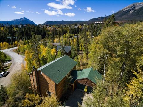 73 Elk Thistle Dr, Silverthorne, CO 80498 photo 6