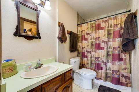 73 Elk Thistle Dr, Silverthorne, CO 80498 photo 16