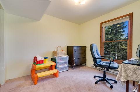 73 Elk Thistle Dr, Silverthorne, CO 80498 photo 17