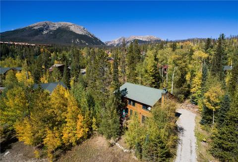 73 Elk Thistle Dr, Silverthorne, CO 80498 photo 23