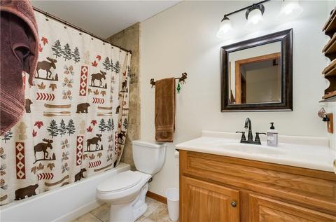 73 Elk Thistle Dr, Silverthorne, CO 80498 photo 21