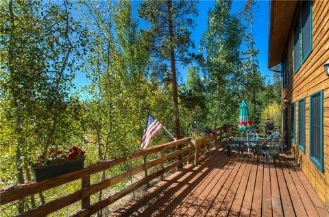 73 Elk Thistle Dr, Silverthorne, CO 80498 photo 10