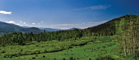 36 W Benjamin Ln, Silverthorne, CO 80498 photo 6