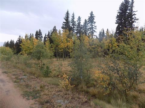 116 Falcon Rd, Como, CO 80432 photo 2