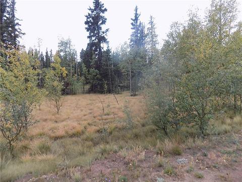 116 Falcon Rd, Como, CO 80432 photo 1