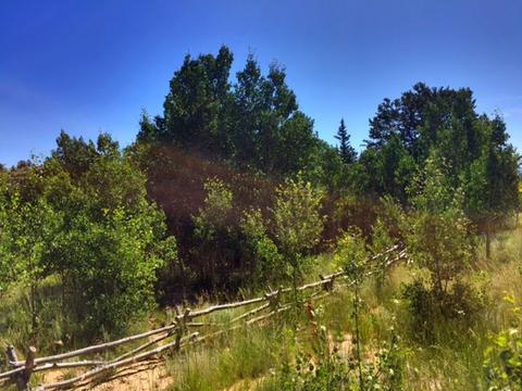1145 Warrior Cir, Como, CO 80432 photo 4