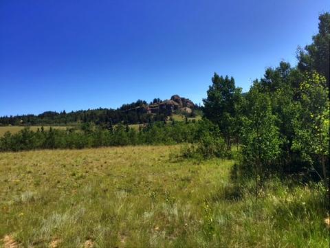 1145 Warrior Cir, Como, CO 80432 photo 3