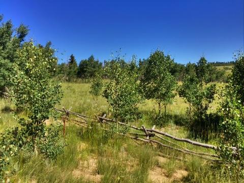 1145 Warrior Cir, Como, CO 80432 photo 2