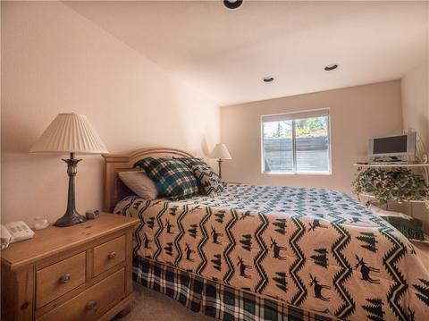 309 Red Hawk Cir, Silverthorne, CO 80498 photo 19