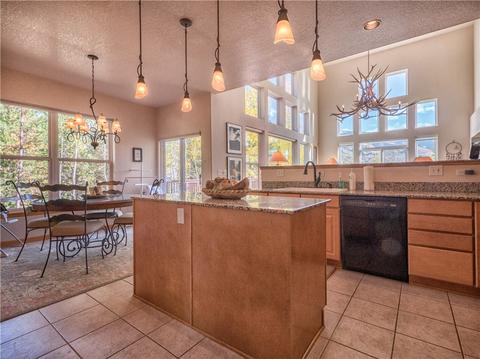 309 Red Hawk Cir, Silverthorne, CO 80498 photo 3