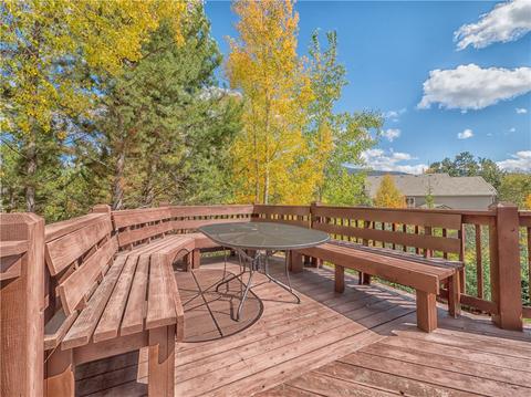 309 Red Hawk Cir, Silverthorne, CO 80498 photo 22