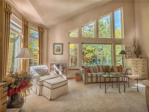 309 Red Hawk Cir, Silverthorne, CO 80498 photo 6