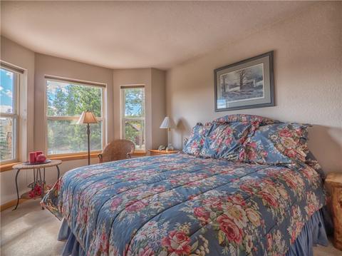 309 Red Hawk Cir, Silverthorne, CO 80498 photo 14