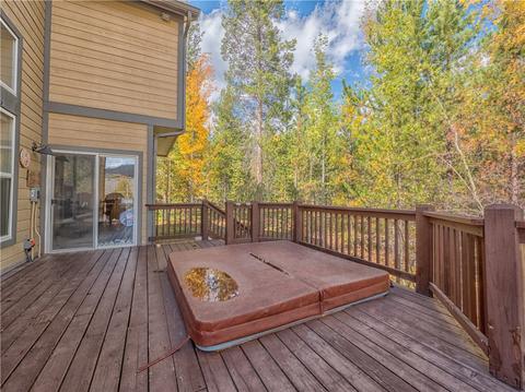 309 Red Hawk Cir, Silverthorne, CO 80498 photo 21