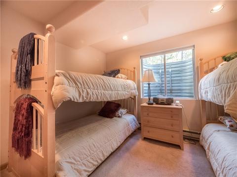 309 Red Hawk Cir, Silverthorne, CO 80498 photo 20