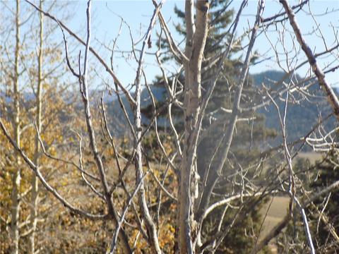 189 Atoka Dr, Como, CO 80432 photo 8