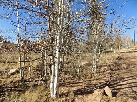 189 Atoka Dr, Como, CO 80432 photo 2