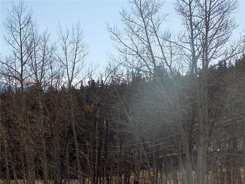 189 Atoka Dr, Como, CO 80432 photo 3