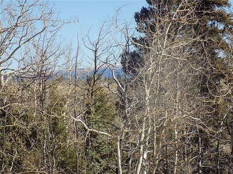 92 Old Squaw Rd, Como, CO 80432 photo 7