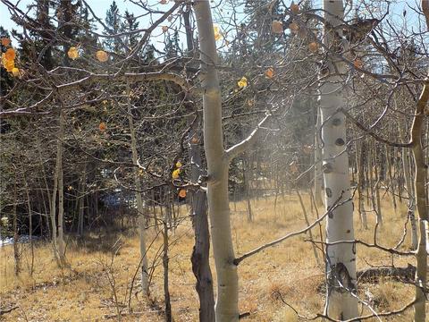 92 Old Squaw Rd, Como, CO 80432 photo 11