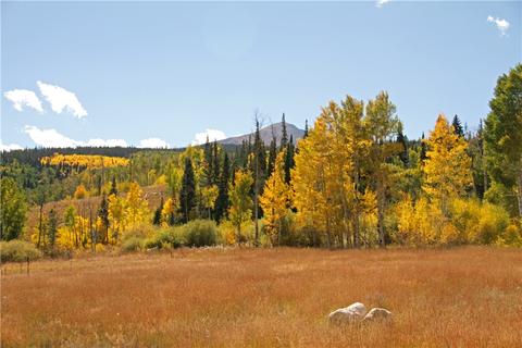 20 W Benjamin Way, Silverthorne, CO 80498 photo 6