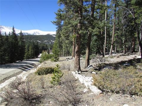 75 Pine Cone Way, Fairplay, CO 80440 photo 2